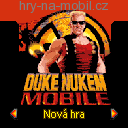 Duke Nukem Mobile, Hry na mobil - Arkády - Ikonka