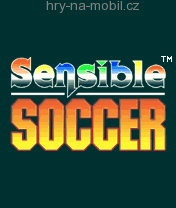 Sensible Soccer, /, 176x208