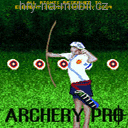 Archery Pro, Hry na mobil - Logické - Ikonka