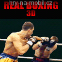 Real Boxing 3D, Hry na mobil - Logické - Ikonka