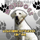 Mobidogs Labrador Retriever Edition, Hry na mobil - Různé - Ikonka